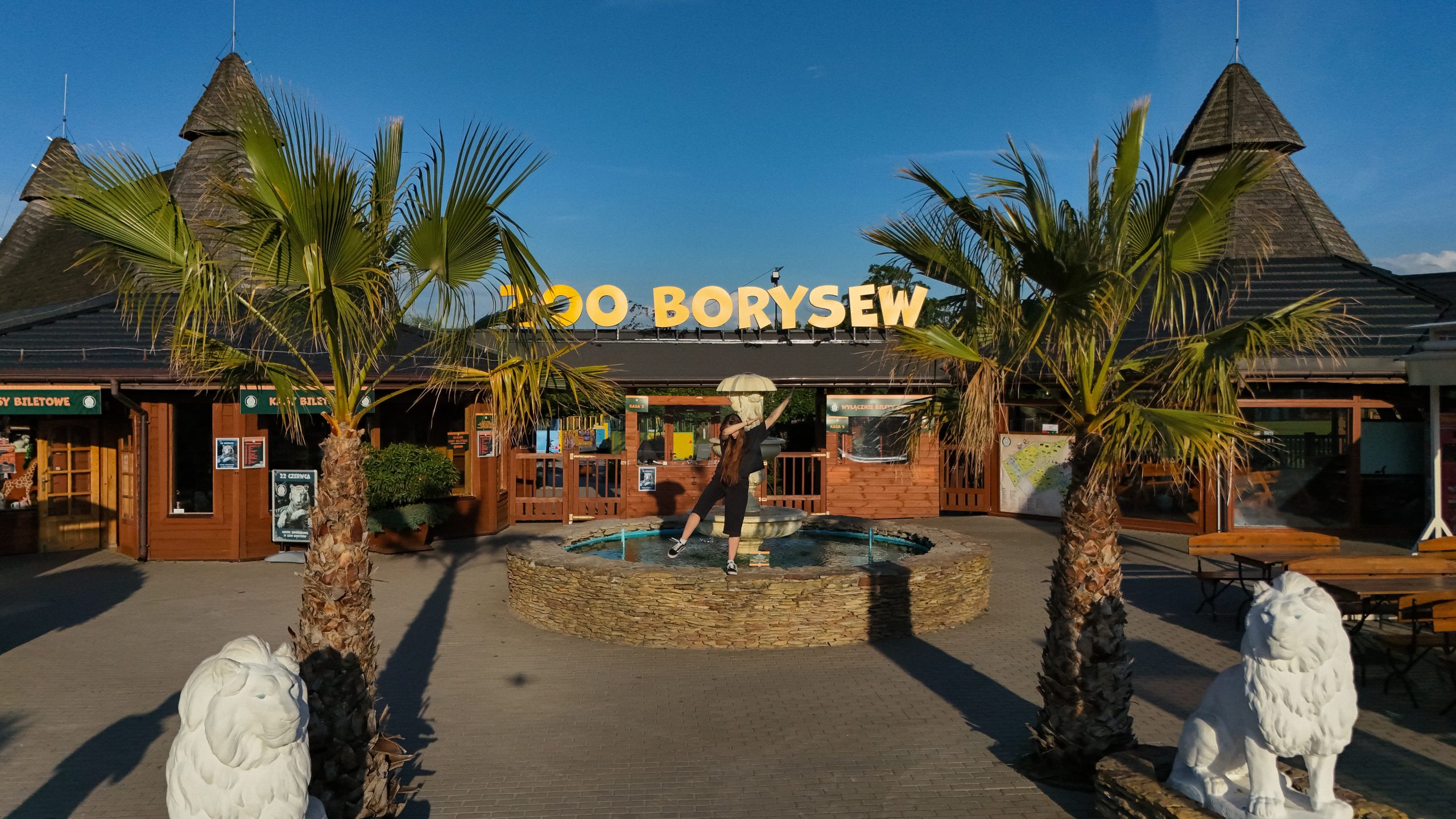 🎥 Realizacja filmu promocyjnego dla Zoo Safari Borysew